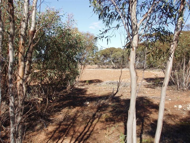 S 129, 130, 207 Sleeper Track Road, Sedan SA 5353