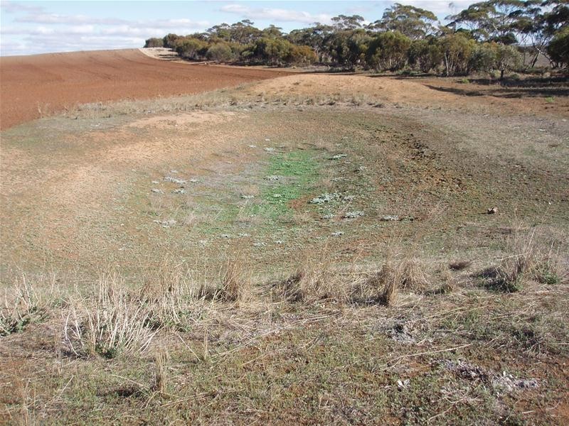 S 129, 130, 207 Sleeper Track Road, Sedan SA 5353