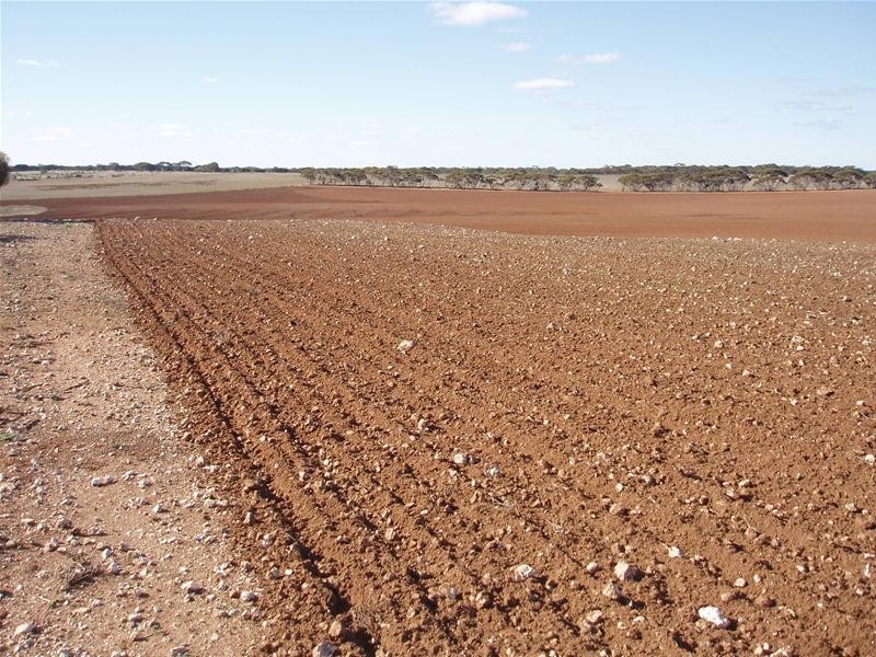 S 129, 130, 207 Sleeper Track Road, Sedan SA 5353