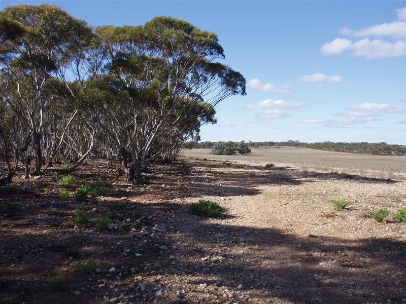 S 129, 130, 207 Sleeper Track Road, Sedan SA 5353