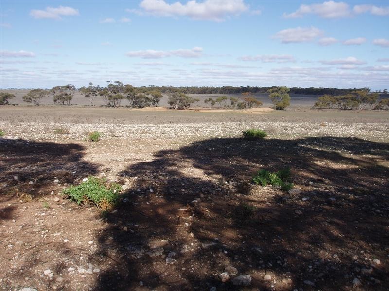 S 129, 130, 207 Sleeper Track Road, Sedan SA 5353