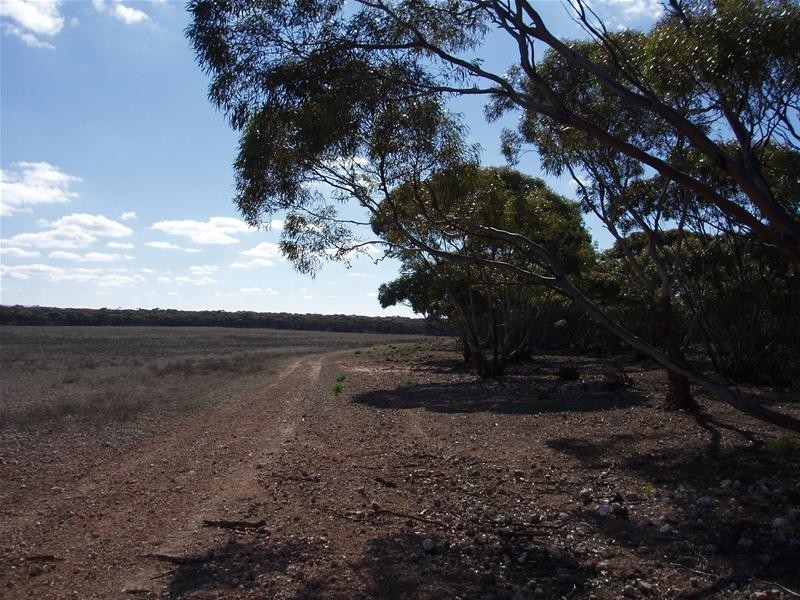 S 129, 130, 207 Sleeper Track Road, Sedan SA 5353