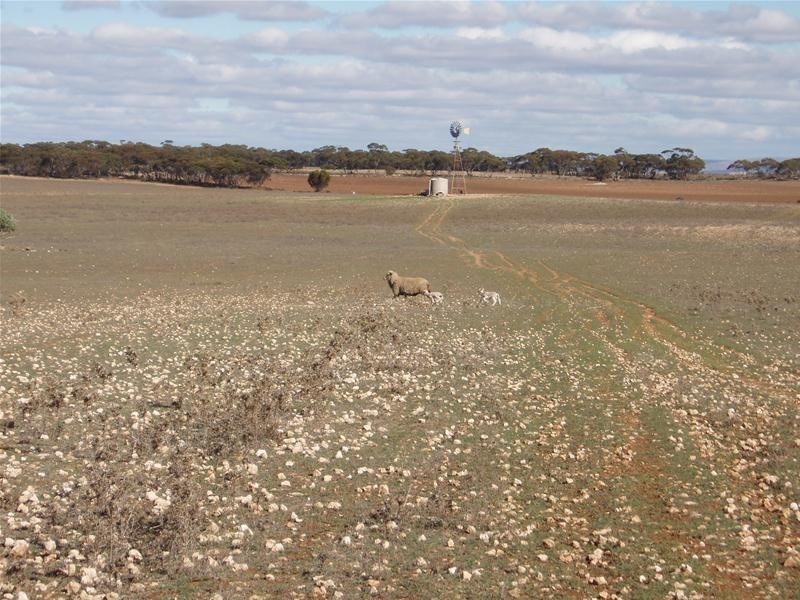 S 129, 130, 207 Sleeper Track Road, Sedan SA 5353