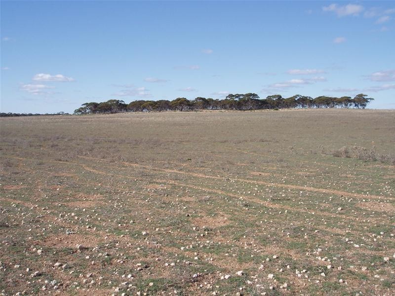 S 129, 130, 207 Sleeper Track Road, Sedan SA 5353