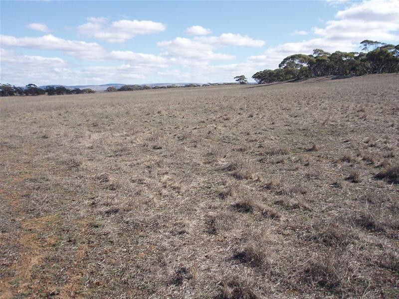 S 129, 130, 207 Sleeper Track Road, Sedan SA 5353