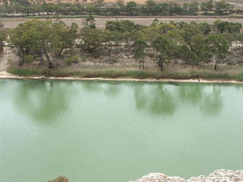 Lot 25 Nildottie Road Greenways Landing, Nildottie SA 5238