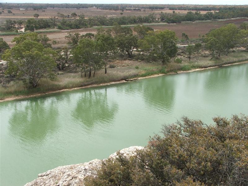 Lot 25 Nildottie Road Greenways Landing, Nildottie SA 5238