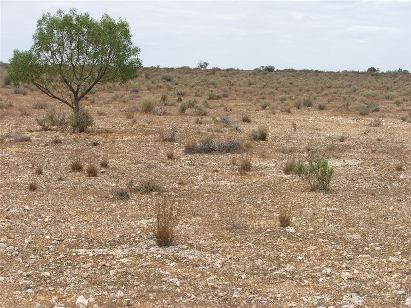 Lot 25 Nildottie Road Greenways Landing, Nildottie SA 5238