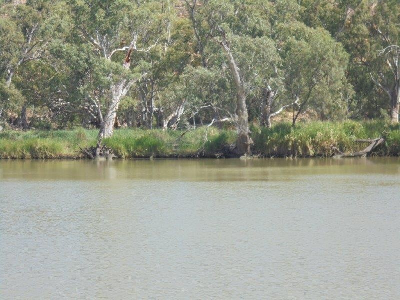 68 River Reserve Road, Marks Landing SA 5354