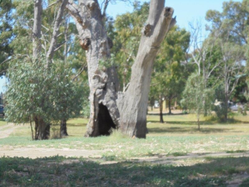 68 River Reserve Road, Marks Landing SA 5354