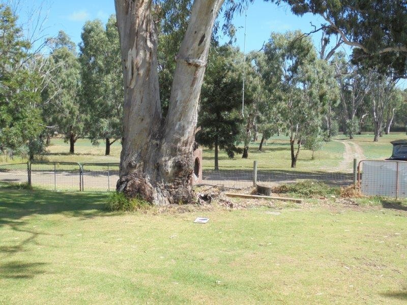 68 River Reserve Road, Marks Landing SA 5354