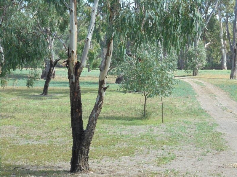 68 River Reserve Road, Marks Landing SA 5354