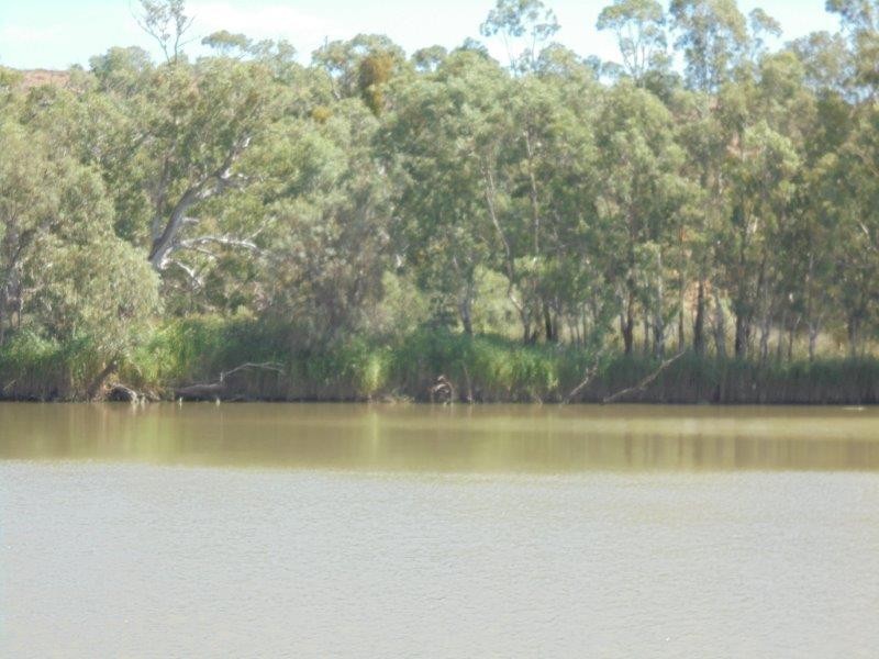 68 River Reserve Road, Marks Landing SA 5354