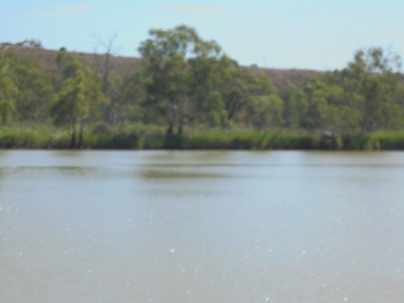 68 River Reserve Road, Marks Landing SA 5354