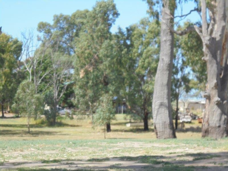 68 River Reserve Road, Marks Landing SA 5354