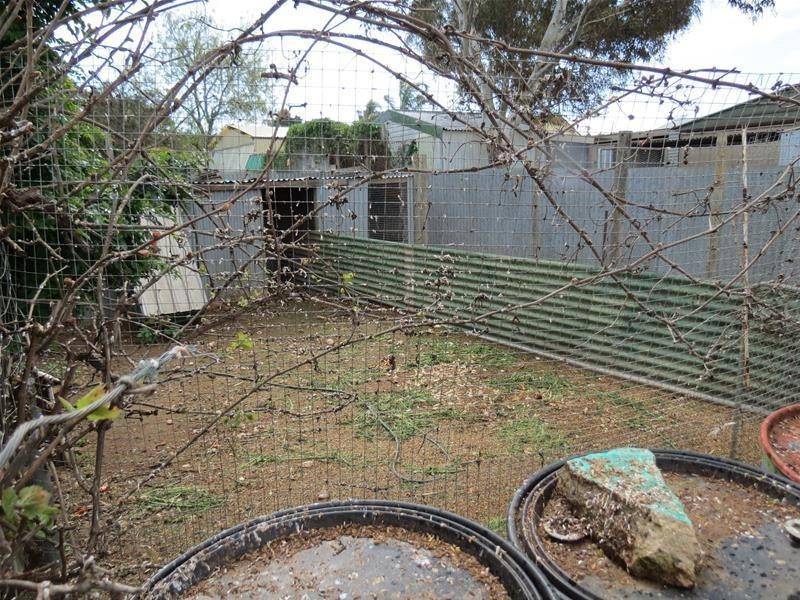 15 Little Anne Street, Mannum SA 5238