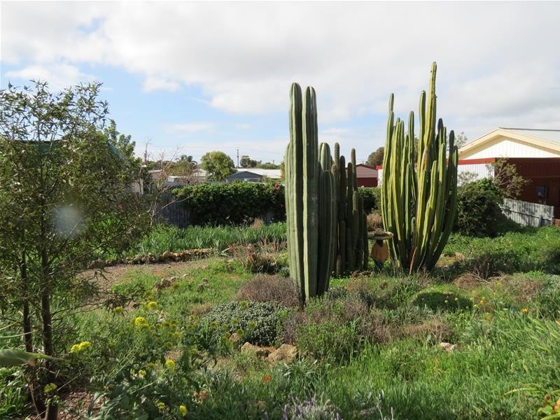 15 Little Anne Street, Mannum SA 5238