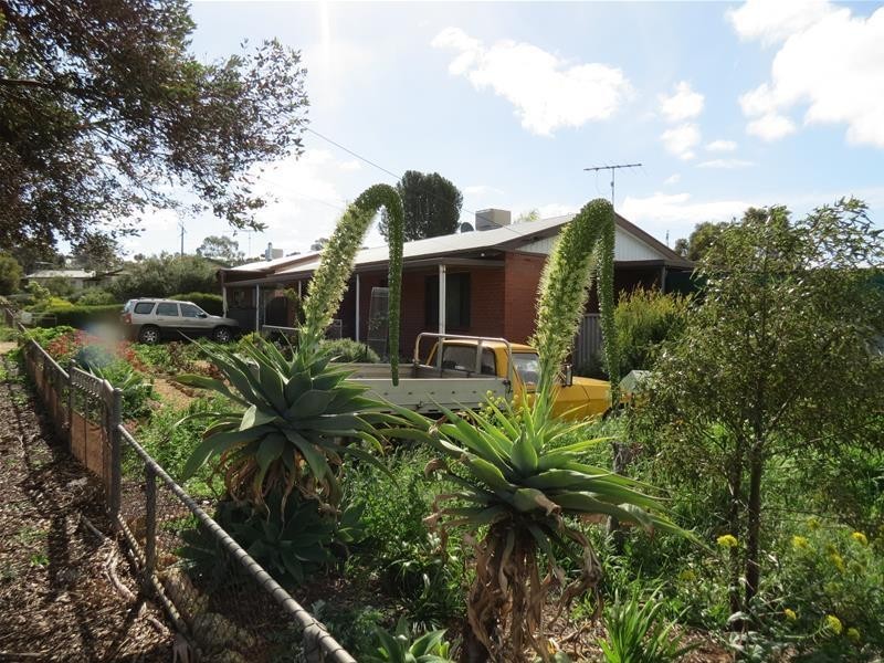 15 Little Anne Street, Mannum SA 5238