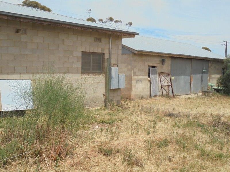 5 Ogilvie Terrace, Galga SA 5308