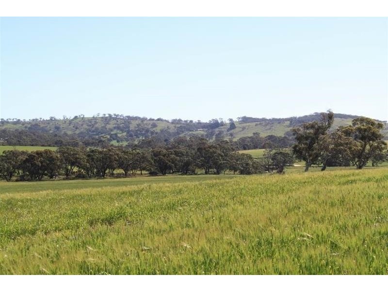 Section 330 & 405 and 332 Kubenk Road, Rockleigh SA 5254