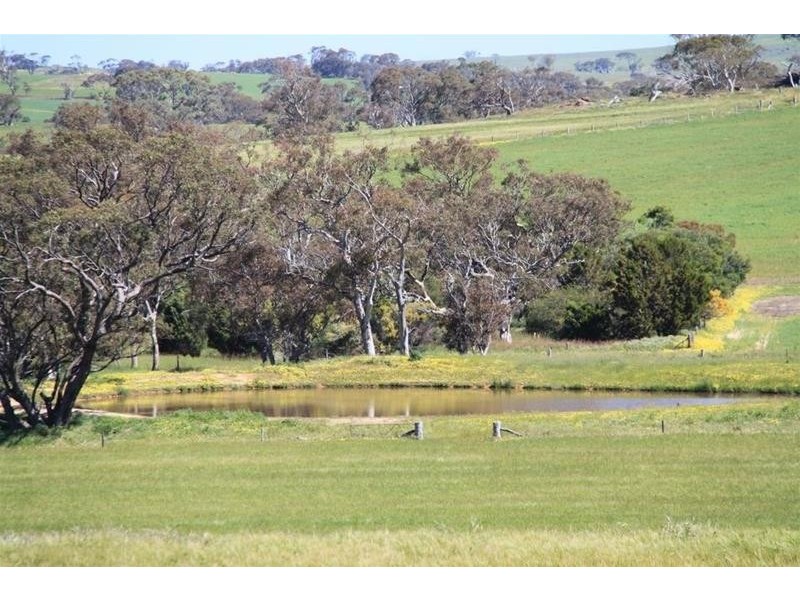 Section 330 & 405 and 332 Kubenk Road, Rockleigh SA 5254