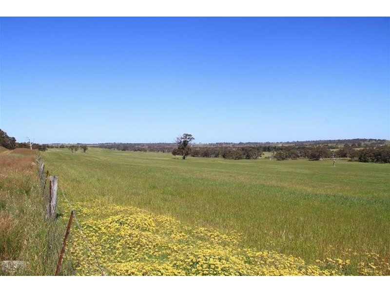 Section 330 & 405 and 332 Kubenk Road, Rockleigh SA 5254