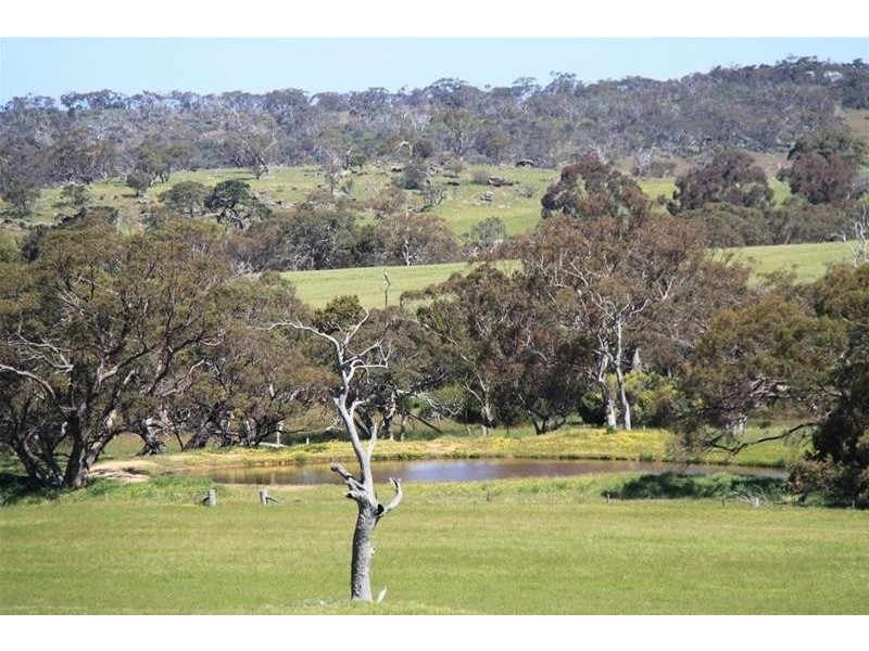 Section 330 & 405 and 332 Kubenk Road, Rockleigh SA 5254