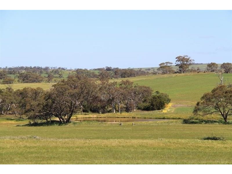 Section 330 & 405 and 332 Kubenk Road, Rockleigh SA 5254