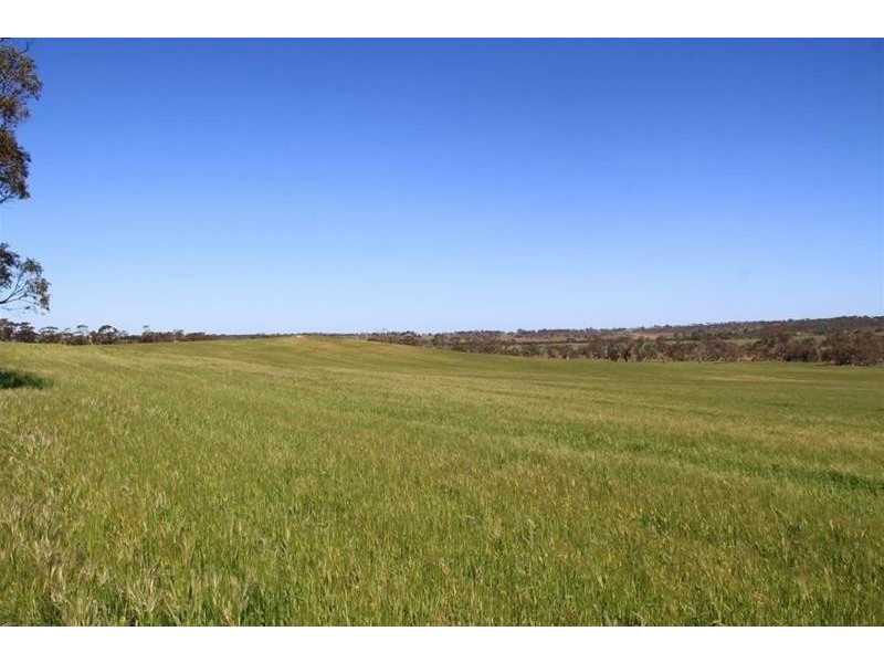 Section 330 & 405 and 332 Kubenk Road, Rockleigh SA 5254