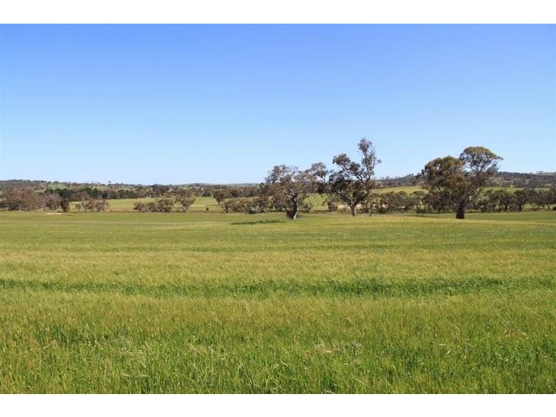 Section 330 & 405 and 332 Kubenk Road, Rockleigh SA 5254