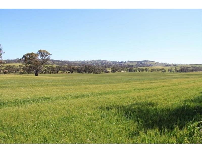 Section 330 & 405 and 332 Kubenk Road, Rockleigh SA 5254