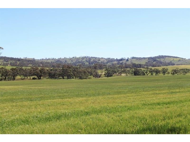 Section 330 & 405 and 332 Kubenk Road, Rockleigh SA 5254