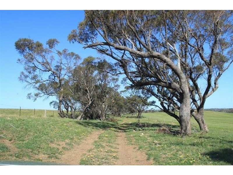 Section 330 & 405 and 332 Kubenk Road, Rockleigh SA 5254