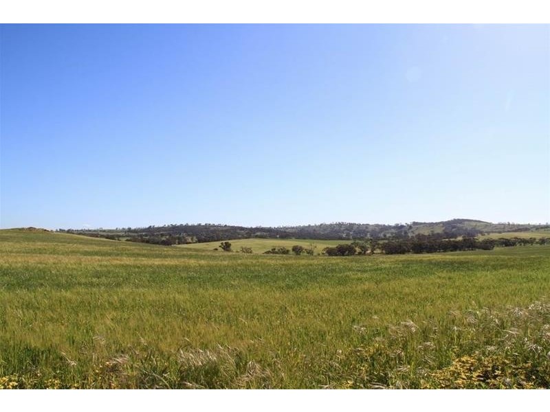 Section 330 & 405 and 332 Kubenk Road, Rockleigh SA 5254