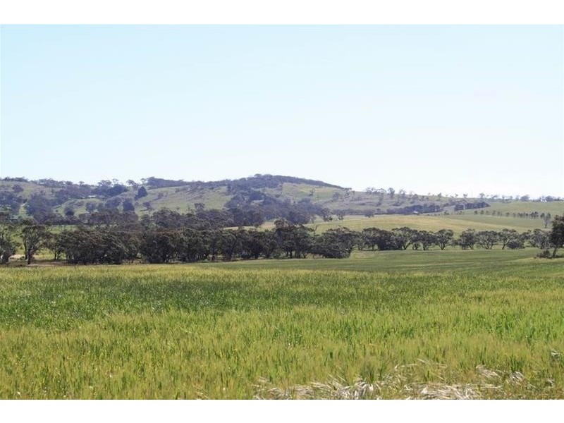 Section 330 & 405 and 332 Kubenk Road, Rockleigh SA 5254