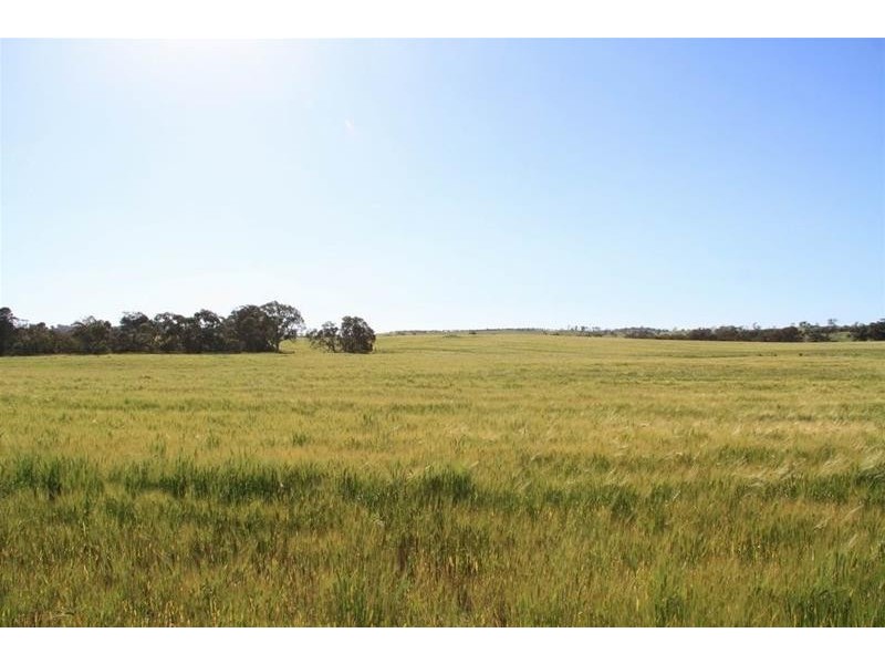 Section 330 & 405 and 332 Kubenk Road, Rockleigh SA 5254