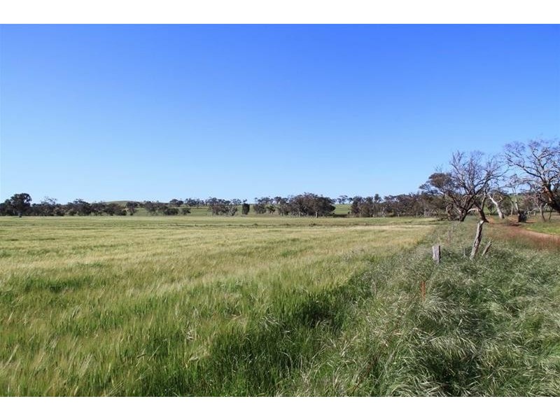 Section 330 & 405 and 332 Kubenk Road, Rockleigh SA 5254