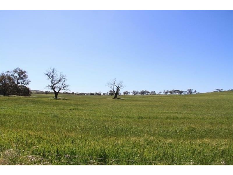 Section 330 & 405 and 332 Kubenk Road, Rockleigh SA 5254