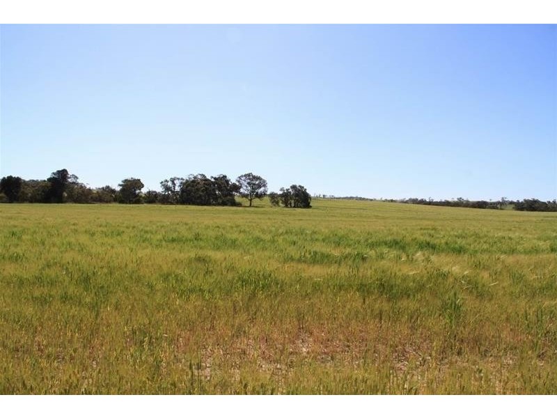 Section 330 & 405 and 332 Kubenk Road, Rockleigh SA 5254