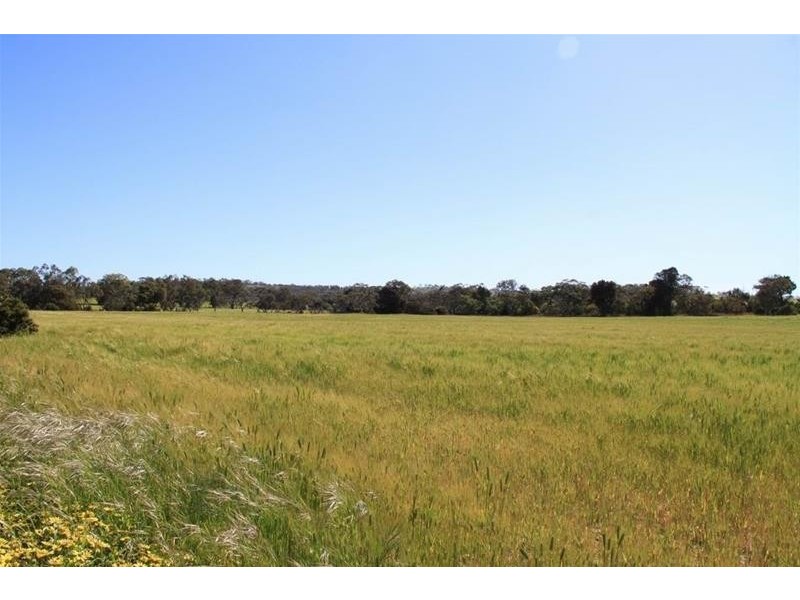 Section 330 & 405 and 332 Kubenk Road, Rockleigh SA 5254