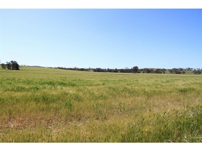 Section 330 & 405 and 332 Kubenk Road, Rockleigh SA 5254