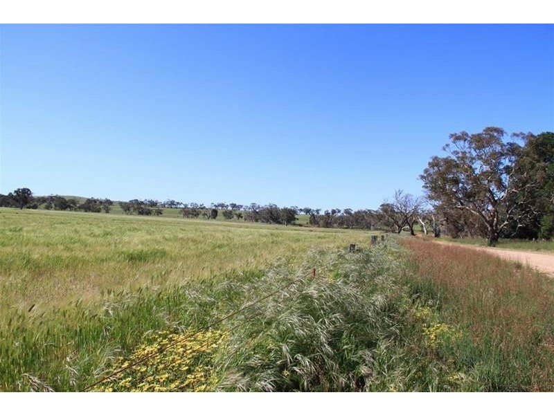 Section 330 & 405 and 332 Kubenk Road, Rockleigh SA 5254