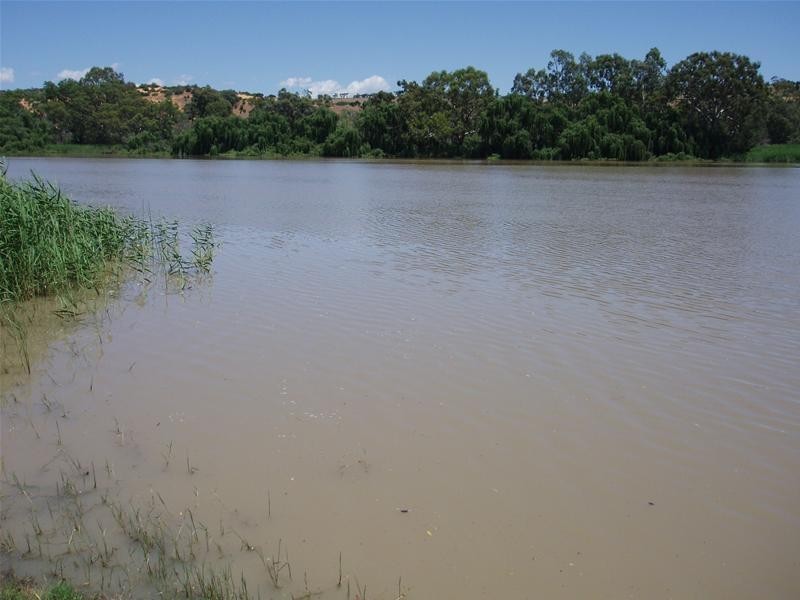 45 Schmidt Lane, Bowhill SA 5238