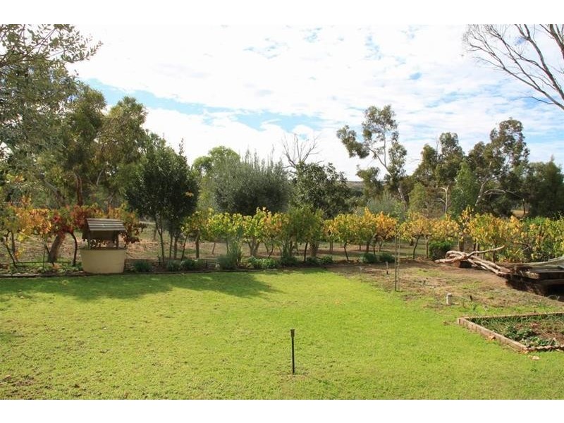 Lot 28 Panorama Avenue, Younghusband SA 5238