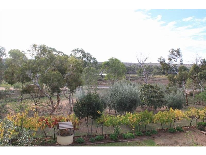 Lot 28 Panorama Avenue, Younghusband SA 5238