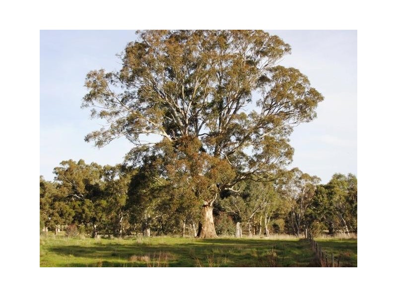 Lot 594 Adelaide Mannum Road, Birdwood SA 5234