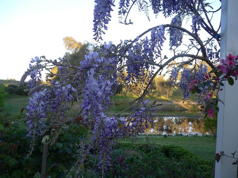 Lot 594 Adelaide Mannum Road, Birdwood SA 5234