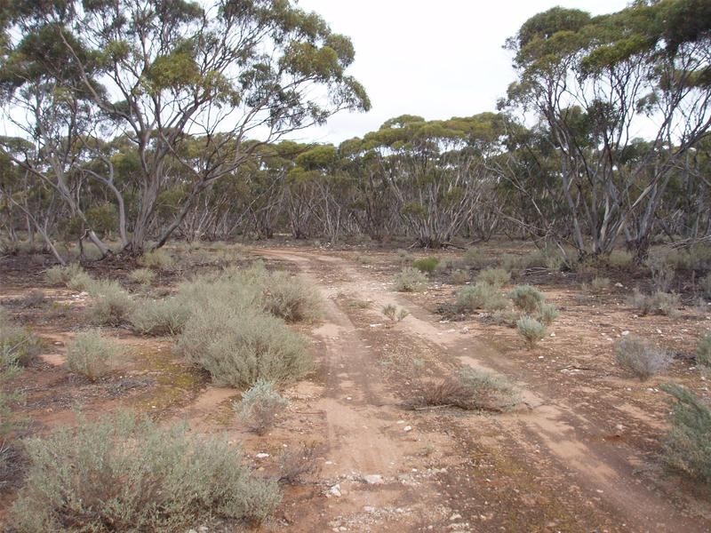 Section 47 Sleeper Track Road, Swan Reach SA 5354