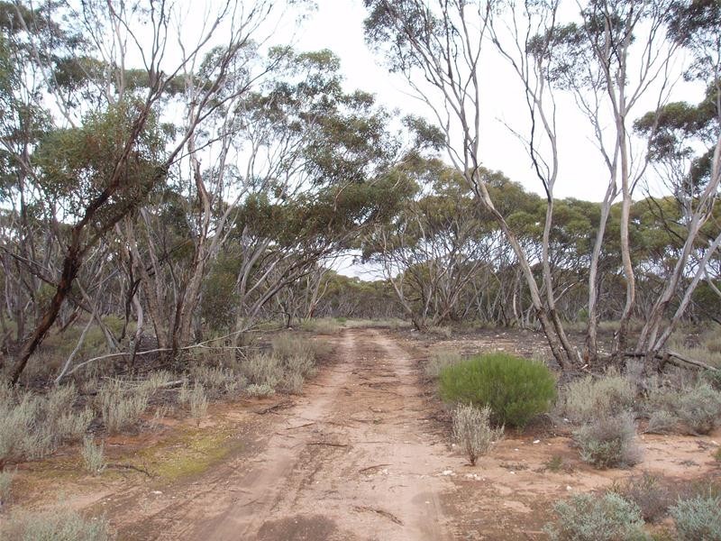 Section 47 Sleeper Track Road, Swan Reach SA 5354