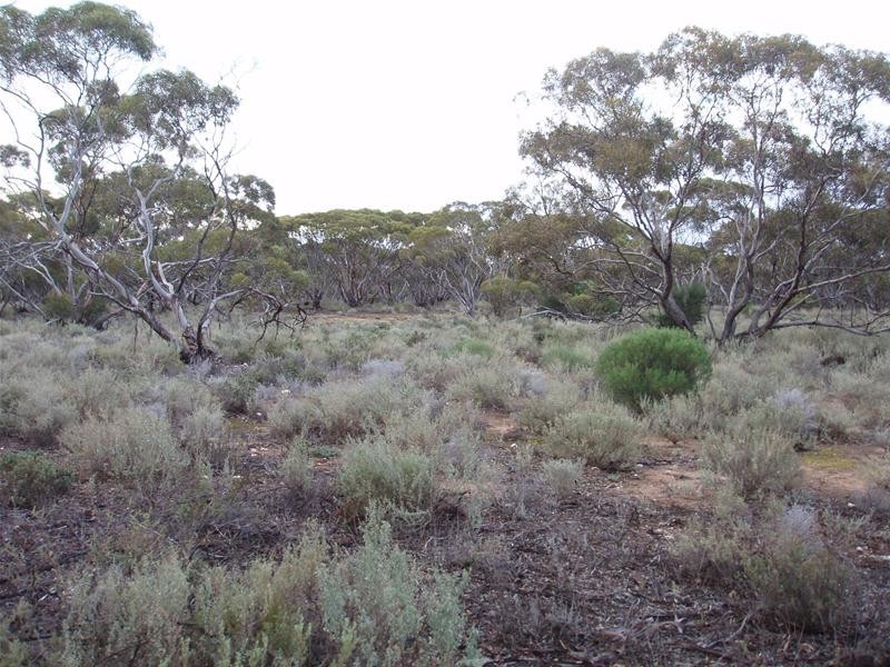 Section 47 Sleeper Track Road, Swan Reach SA 5354